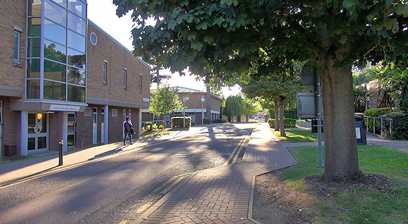 Looking down a campus road, with modern buildings on the left, and trees on the right